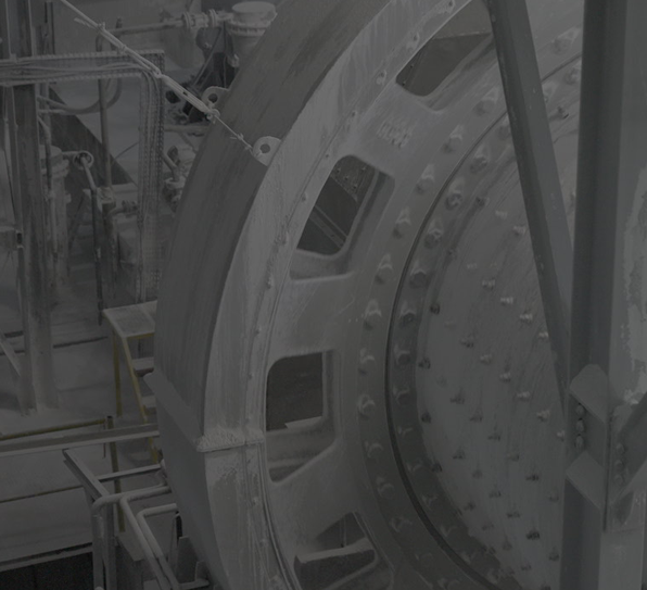 Leader in the Industry, Competitive in the Global Market