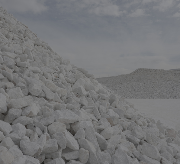 Leader in the Industry, Competitive in the Global Market