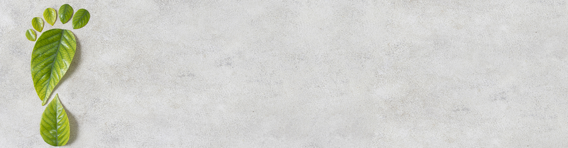 Sürdürülebilirlik